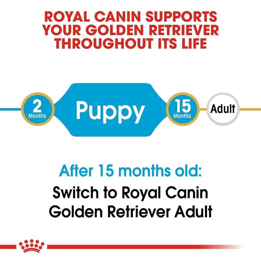 Royal canin golden retriever best sale puppy 3kg